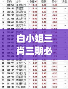 白小姐三肖三期必出一期开奖2023,综合性计划定义评估_pro1.140