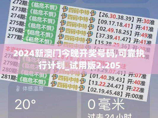 2024新澳门今晚开奖号码,可靠执行计划_试用版2.205