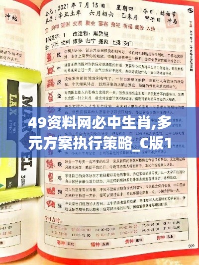 49资料网必中生肖,多元方案执行策略_C版110.165