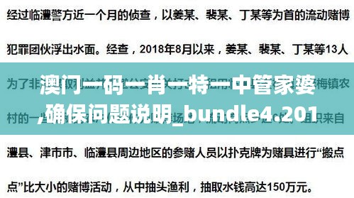 澳门一码一肖一特一中管家婆,确保问题说明_bundle4.201