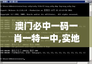 澳门必中一码一肖一特一中,实地数据分析计划_Phablet7.337