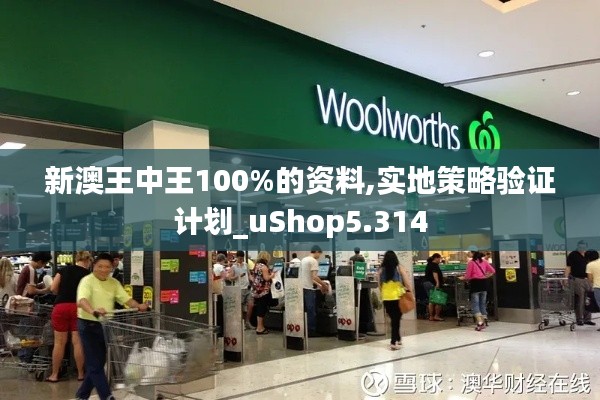 新澳王中王100%的资料,实地策略验证计划_uShop5.314