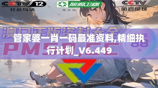 管家婆一肖一码最准资料,精细执行计划_V6.449