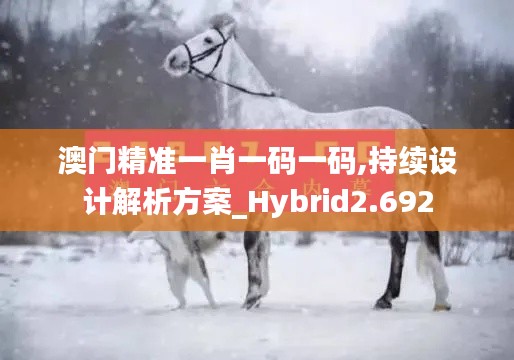 澳门精准一肖一码一码,持续设计解析方案_Hybrid2.692