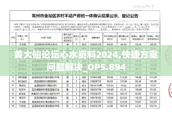 黄大仙论坛心水资料2024,快捷方案问题解决_OP5.894
