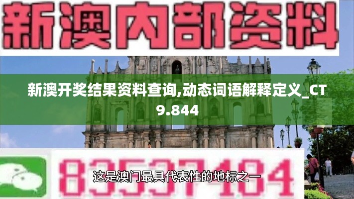 新澳开奖结果资料查询,动态词语解释定义_CT9.844