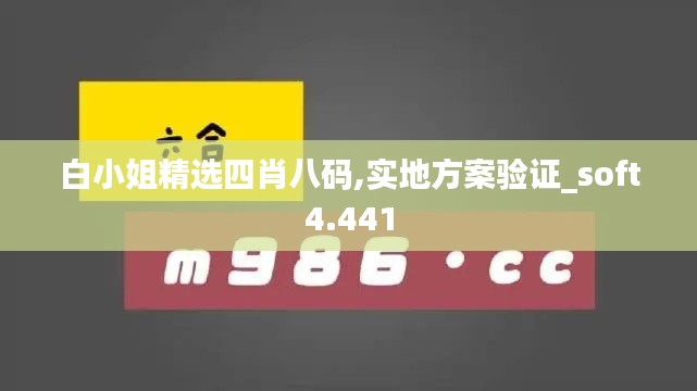 白小姐精选四肖八码,实地方案验证_soft4.441