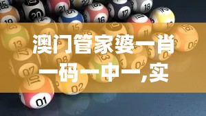 澳门管家婆一肖一码一中一,实地考察分析数据_Gold3.300