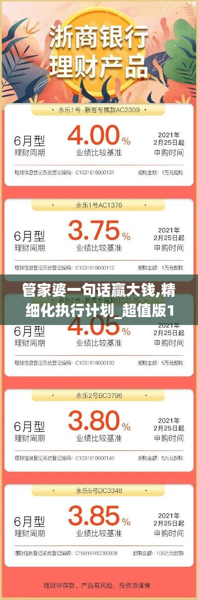 管家婆一句话赢大钱,精细化执行计划_超值版11.947