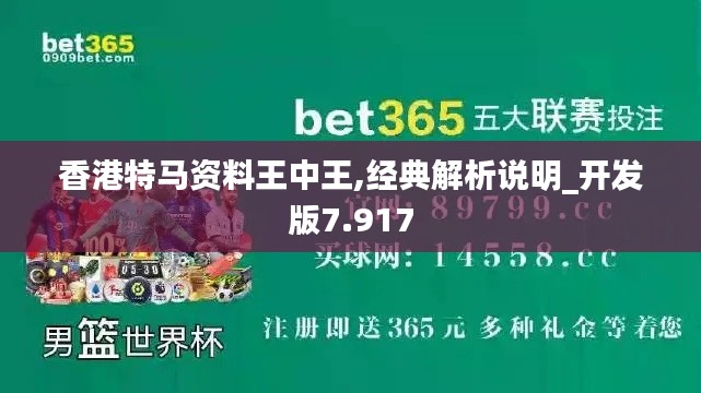 香港特马资料王中王,经典解析说明_开发版7.917