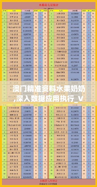澳门精准资料水果奶奶,深入数据应用执行_V版3.980
