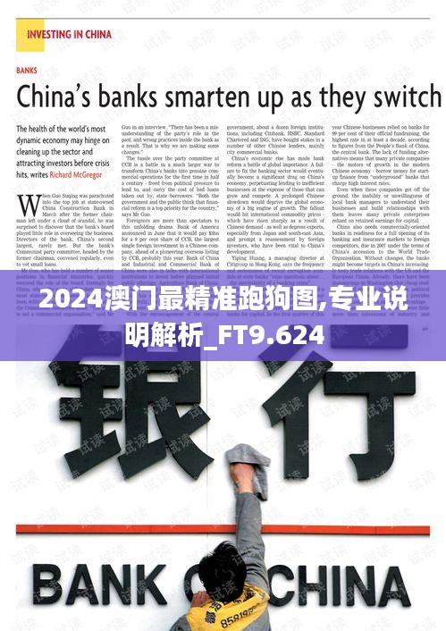 2024澳门最精准跑狗图,专业说明解析_FT9.624
