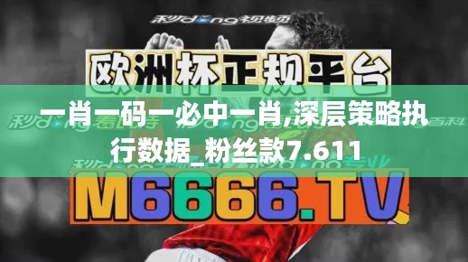 一肖一码一必中一肖,深层策略执行数据_粉丝款7.611