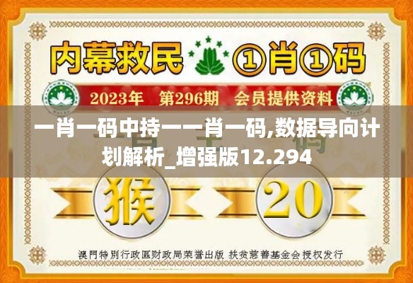 一肖一码中持一一肖一码,数据导向计划解析_增强版12.294