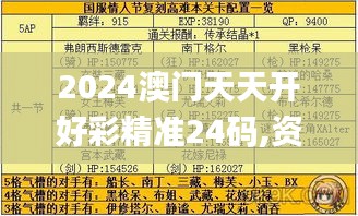 2024澳门天天开好彩精准24码,资源整合策略_复刻版15.719