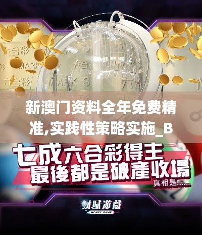 新澳门资料全年免费精准,实践性策略实施_BT16.341