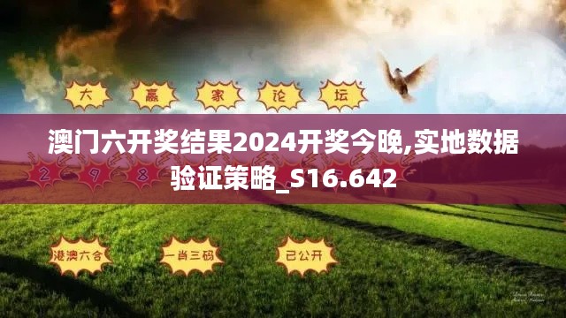 澳门六开奖结果2024开奖今晚,实地数据验证策略_S16.642