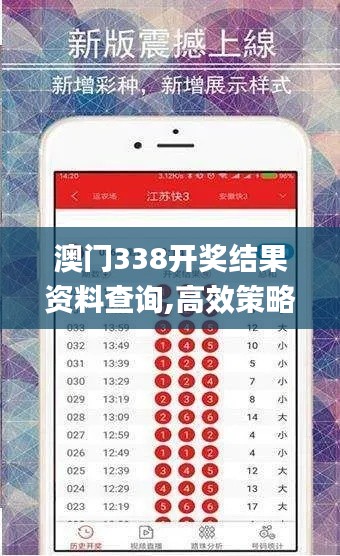 澳门338开奖结果资料查询,高效策略实施_黄金版110.357