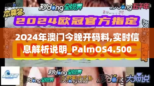 2O24年澳门今晚开码料,实时信息解析说明_PalmOS4.500