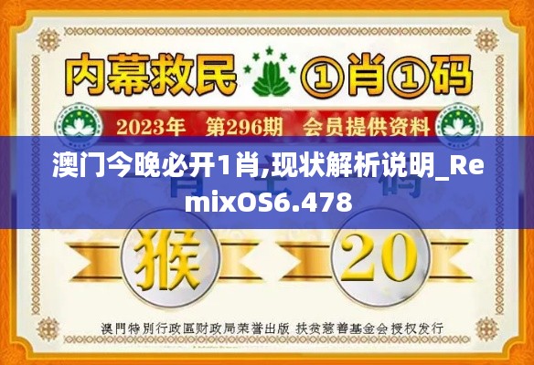 澳门今晚必开1肖,现状解析说明_RemixOS6.478