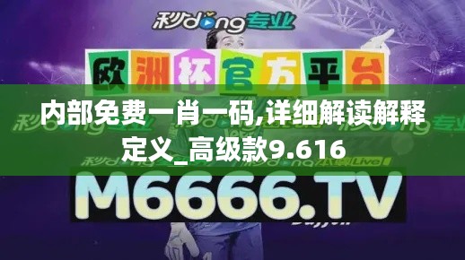 内部免费一肖一码,详细解读解释定义_高级款9.616