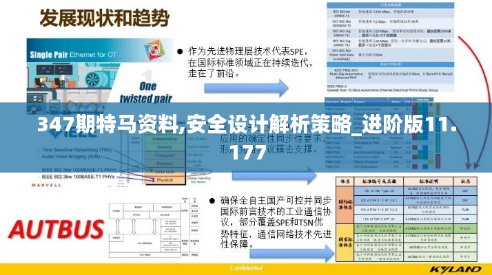 347期特马资料,安全设计解析策略_进阶版11.177