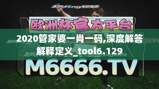 2020管家婆一肖一码,深度解答解释定义_tool6.129