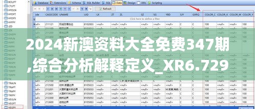 2024新澳资料大全免费347期,综合分析解释定义_XR6.729