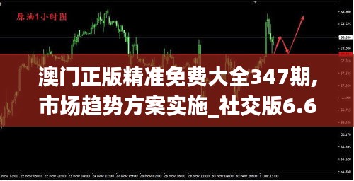 澳门正版精准免费大全347期,市场趋势方案实施_社交版6.669