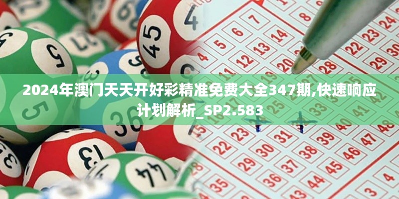 2024年澳门天天开好彩精准免费大全347期,快速响应计划解析_SP2.583