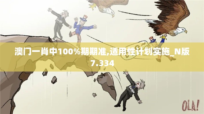 澳门一肖中100%期期准,适用性计划实施_N版7.334