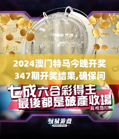 2024澳门特马今晚开奖347期开奖结果,确保问题解析_户外版13.917