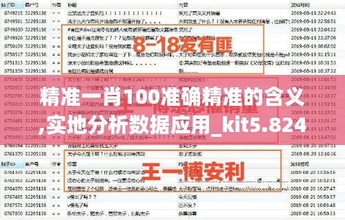 精准一肖100准确精准的含义,实地分析数据应用_kit5.824