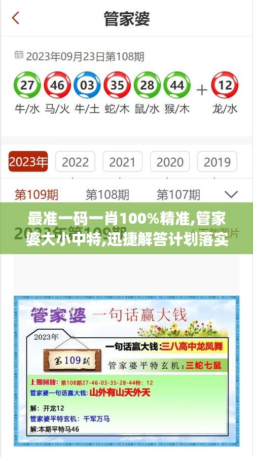 最准一码一肖100%精准,管家婆大小中特,迅捷解答计划落实_N版9.733
