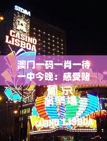 澳门一码一肖一待一中今晚：感受赌城的激情与魅力