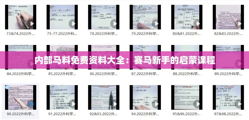 内部马料免费资料大全：赛马新手的启蒙课程