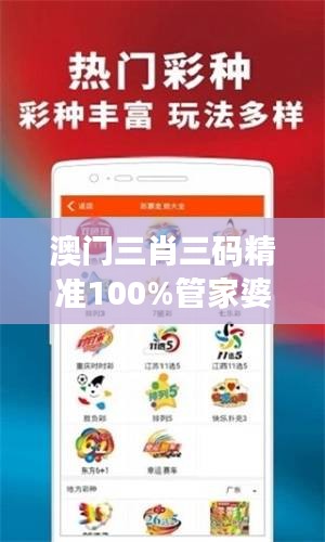 澳门三肖三码精准100%管家婆：命中率与风险控制的艺术