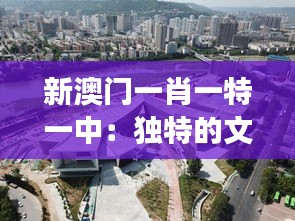 新澳门一肖一特一中：独特的文化融合与现代发展