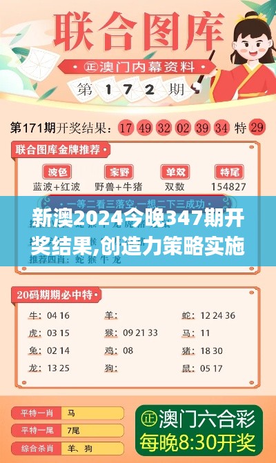 新澳2024今晚347期开奖结果,创造力策略实施推广_精英版2.658