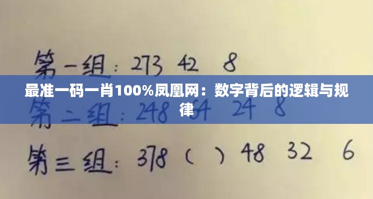 最准一码一肖100%凤凰网：数字背后的逻辑与规律