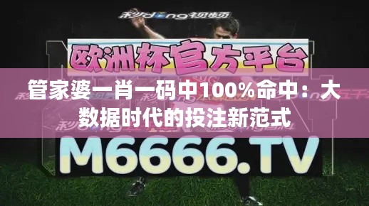 管家婆一肖一码中100%命中：大数据时代的投注新范式