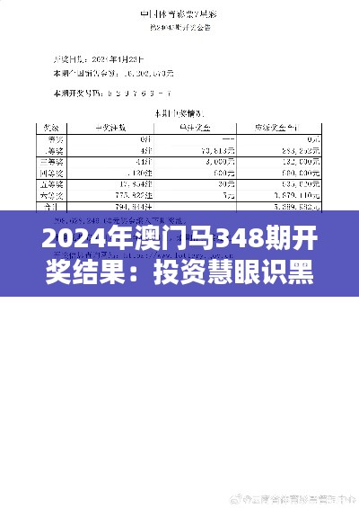 2024年澳门马348期开奖结果：投资慧眼识黑马