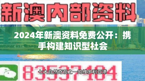 2024年新澳资料免费公开：携手构建知识型社会