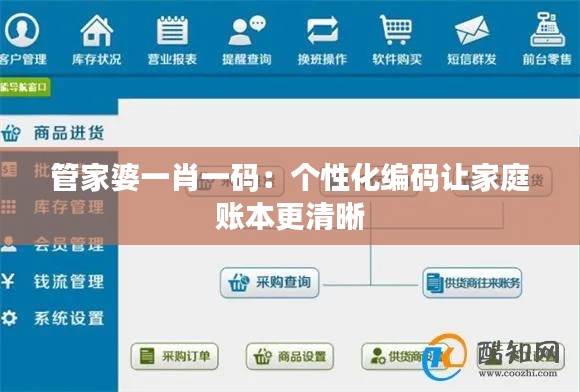 管家婆一肖一码：个性化编码让家庭账本更清晰