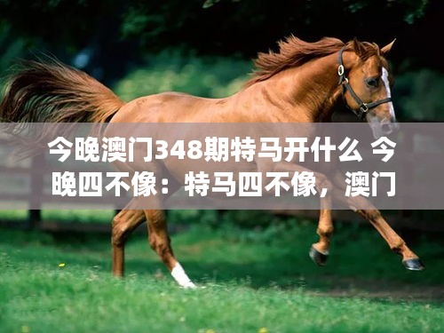 今晚澳门348期特马开什么 今晚四不像：特马四不像，澳门特马的未知之旅