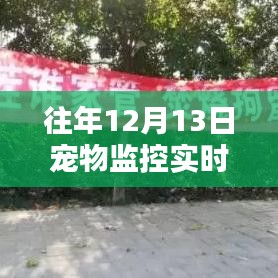科技护航宠物安全，实时大屏监控开启新时代宠物监控新篇章