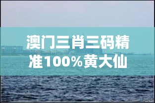 澳门三肖三码精准100%黄大仙348期：揭开概率的面纱