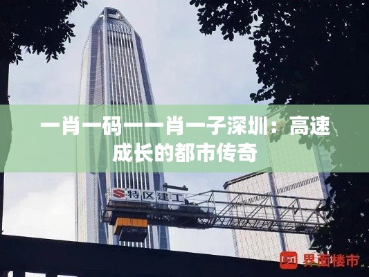 一肖一码一一肖一子深圳：高速成长的都市传奇