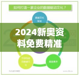 2024新奥资料免费精准资料348期：数据驱动的奥运备战策略