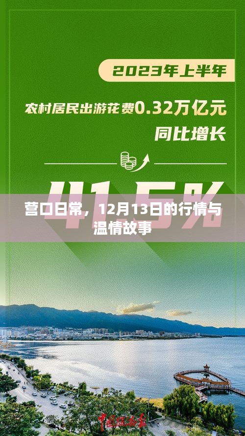 营口日常，12月13日的行情概览与温情瞬间